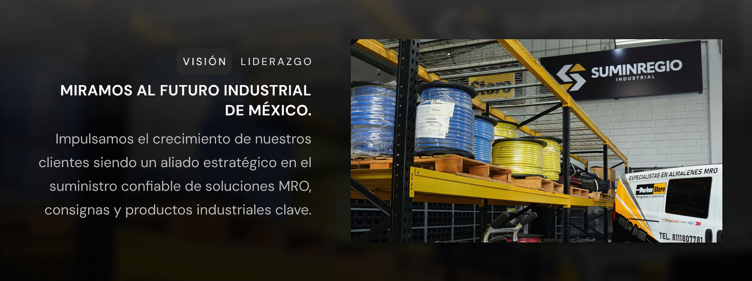 Visión