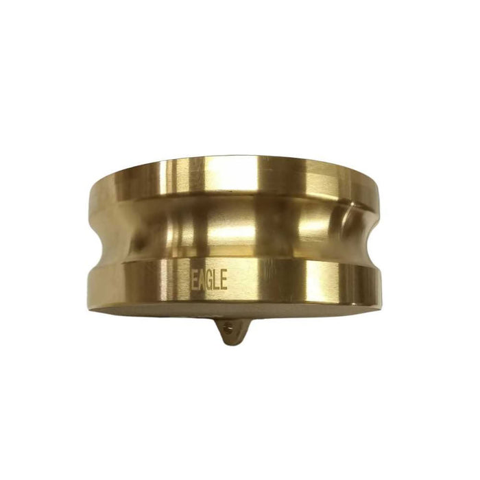 Conector Tapón Antipolvo en Bronce GOODEAGLEFLEX E-BR-DP100 Parte DP de 1 in