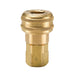Acoplamiento Parker B37 — Serie 30 Latón Rosca Hembra