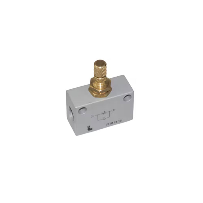 Regulador de Flujo de Escape Metálico Parker 7170 13 13 Serie 7170 Push-to-Connect para Macho BSPP G1/4