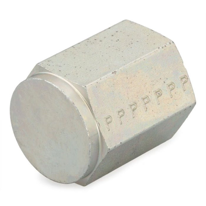 Tapa Parker 1/8 HPC-S Ciega NPT Hembra de 1/8 in en Acero
