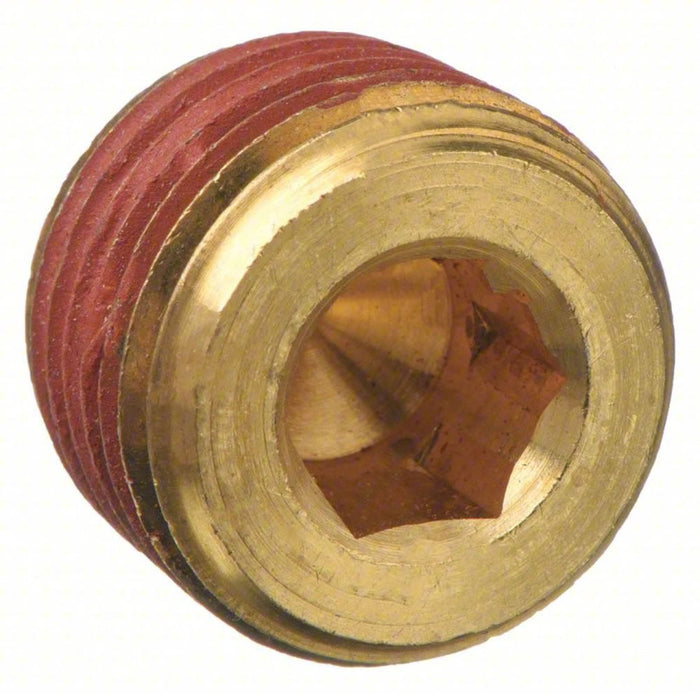 Tapón Hueco Parker VS219P-2 NPT Macho de 1/8 in en Latón