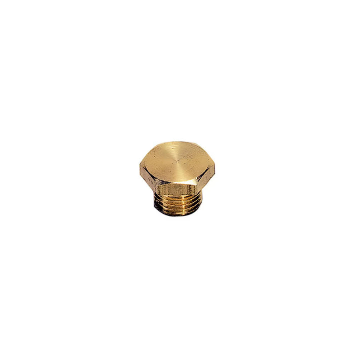 Tapón de Cabeza Hexagonal para Puerto Parker 0200 13 00 Latón G1/4 BSPP