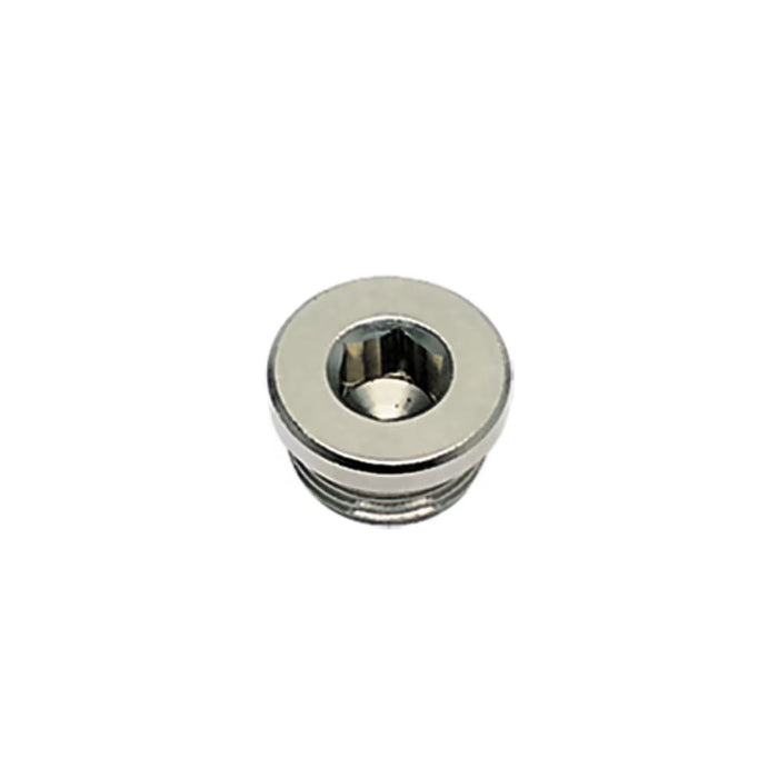 Tapón para Puerto Parker 0919 01 10 G1/8 BSPP Cabeza Hexagonal Interna en Latón