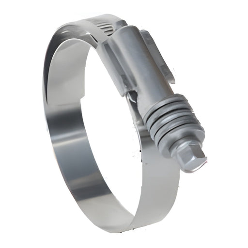Abrazadera sinfín Dixon en acero inoxidable 304 — serie CT