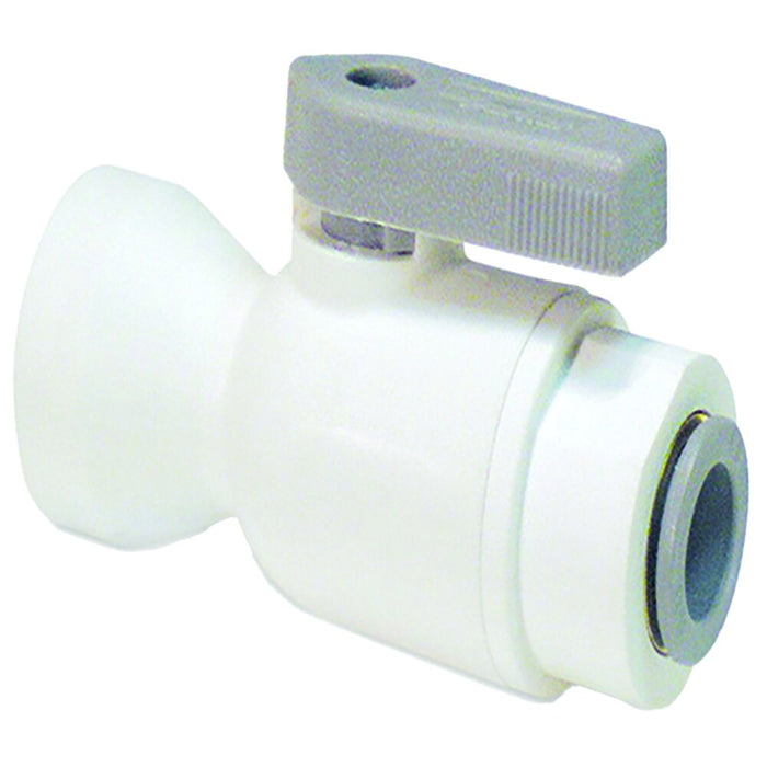 Conector Dixon 1/4" hembra rosca hembra NPTF en nylon PP4VFC4-MG