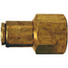 Conector Dixon 3/8" hembra rosca hembra NPTF en latón 6612X12