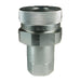 Cople Dixon rosca BSPP en acero — medidas 1-1/4" a 2"