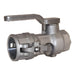 Cople Dixon rosca hembra NPT en acero inoxidable — serie DBC77