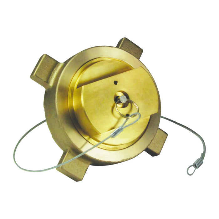 Cople Dixon Lng30 fijo extremo con 2" hembra NPT/ – 2" LNG20BRFE