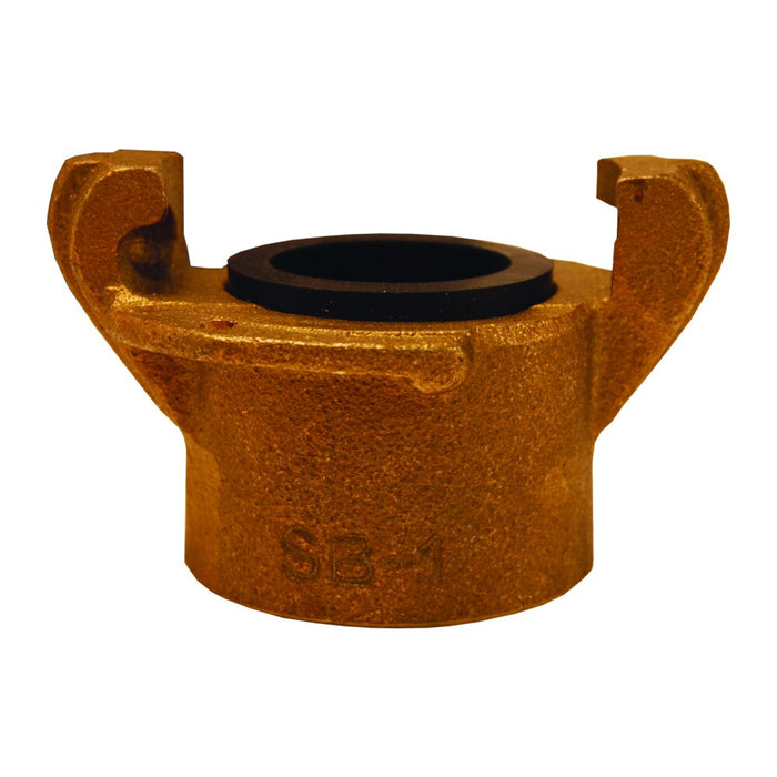 Conexión Dixon 1 1/2" fem roscado w/out screws latón sand blast – 1 1/2" latón BSC150