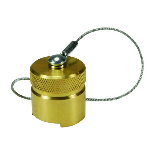 Tapón guardapolvo Dixon serie N 1/2" – latón N4DC-B