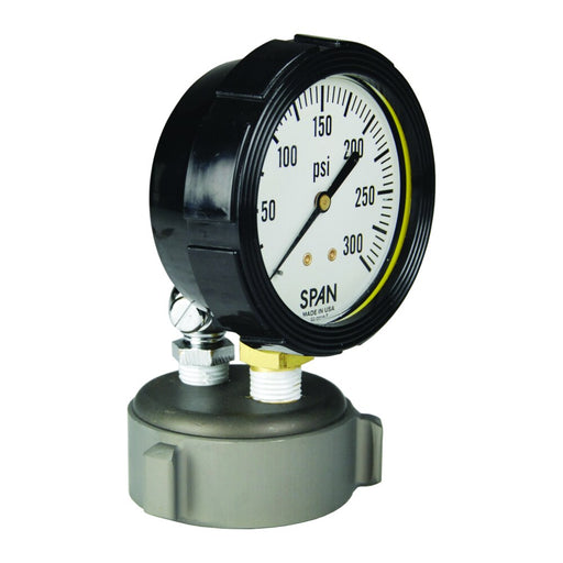 Manómetro Dixon 2 1/2" nh de prueba manómetro – 2 1/2" AFC250F-TGWP