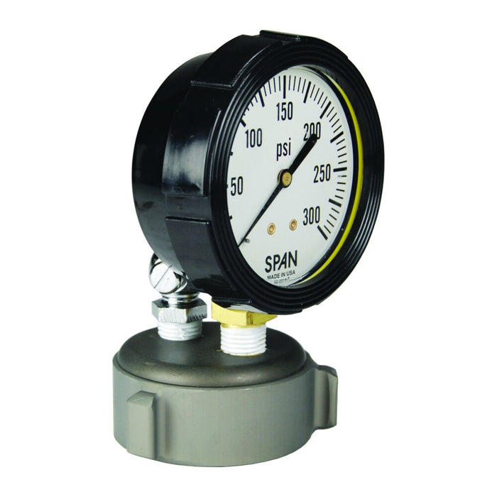 Tapa con Manómetro de Prueba Dixon 2-1/2" AFC250F-TGWP