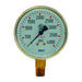 Manómetro Dixon 2-1/2" × 1/4" en latón GBRW30