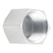 Tapa Dixon hembra rosca hembra NPTF en acero platinado — serie 5406C