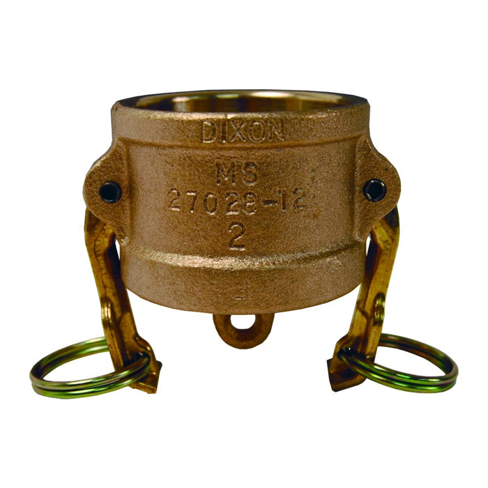 Tapa guardapolvo Dixon Tipo DC guardapolvo – 2" latón 200-DC-BR