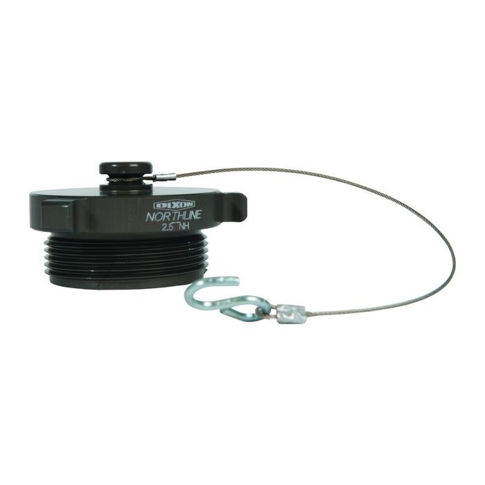 Tapón Dixon No usar 4" nst rl w/chain alh – 4" AFP400F