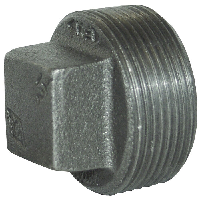 Tapón Dixon 1" rosca macho NPT en hierro SHP100