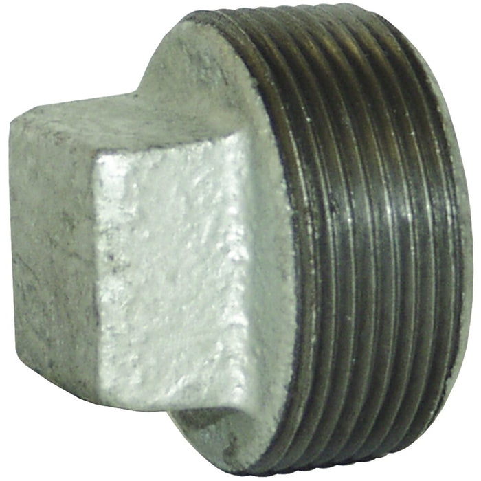 Tapón Dixon 6" rosca macho NPT en hierro SHP600G