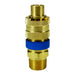 Tapón Dixon Serie N macho de seguridad con seguro – N4M6-B-LS