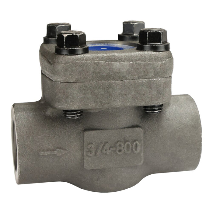 Válvula check Dixon 1" hembra rosca hembra NPT en acero FSCV100