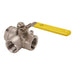 Válvula de bola Dixon 1/2" rosca hembra NPT en acero inoxidable SSBV50TW