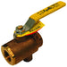 Válvula de bola Dixon 1" rosca hembra NPT en bronce BBV100VT