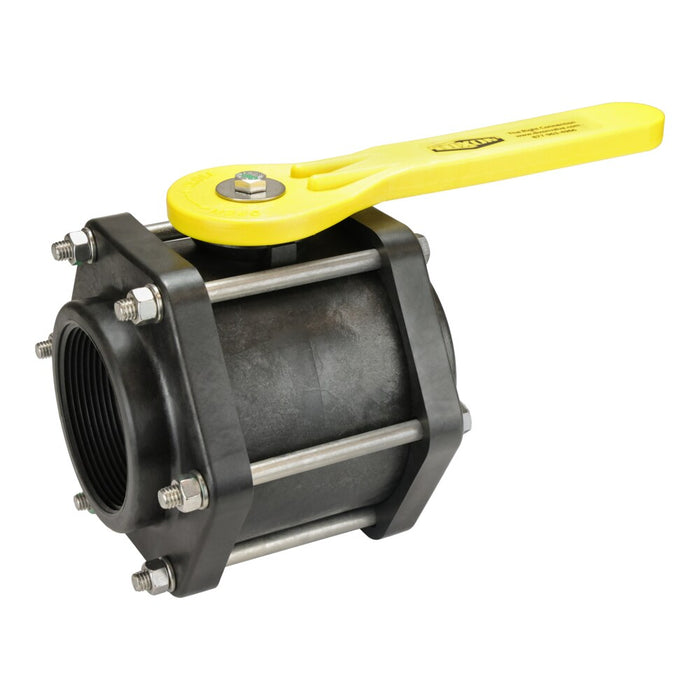 Válvula de bola Dixon 3" rosca hembra NPT PVFP300