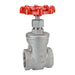 Válvula de Compuerta Dixon 3/4" acero inoxidable 316 SSGV75