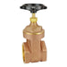 Válvula de compuerta Dixon 2-1/2" hembra rosca hembra NPT en latón BGV250