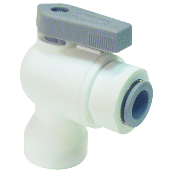 Válvula Dixon 1/4" hembra rosca hembra NPTF en nylon PP4VFE4-MG